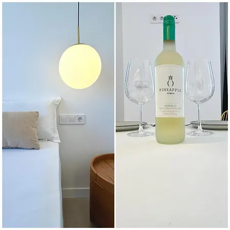 Apartment Pineapple Pozos Dulces 4c *